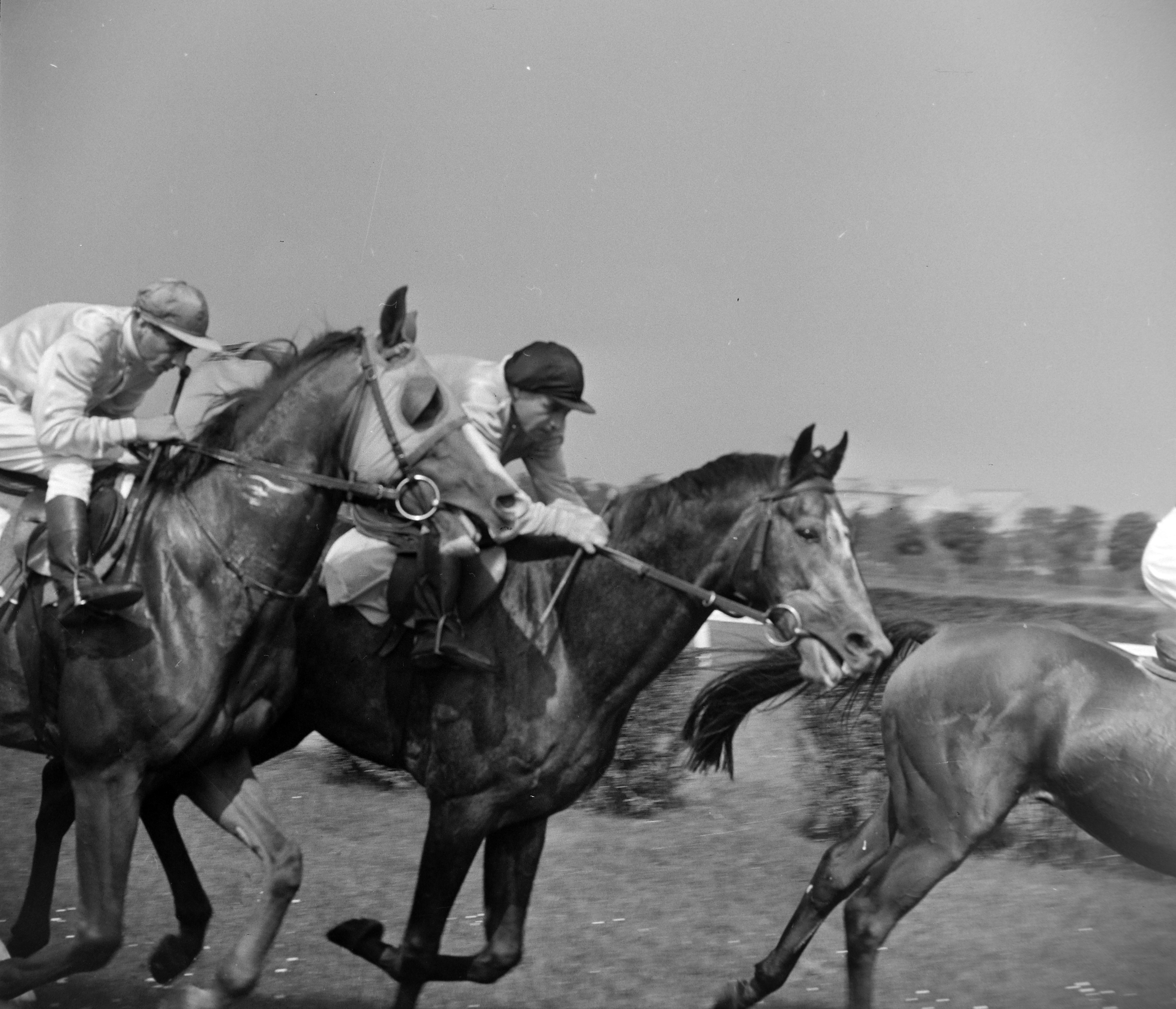 Lóverseny a Kincsem Parkban, 1967